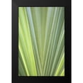 thumbnail image 2 of Millet, Karyn 17x24 Black Modern Framed Museum Art Print Titled - Tropical Leaf Close-Up II, 2 of 5