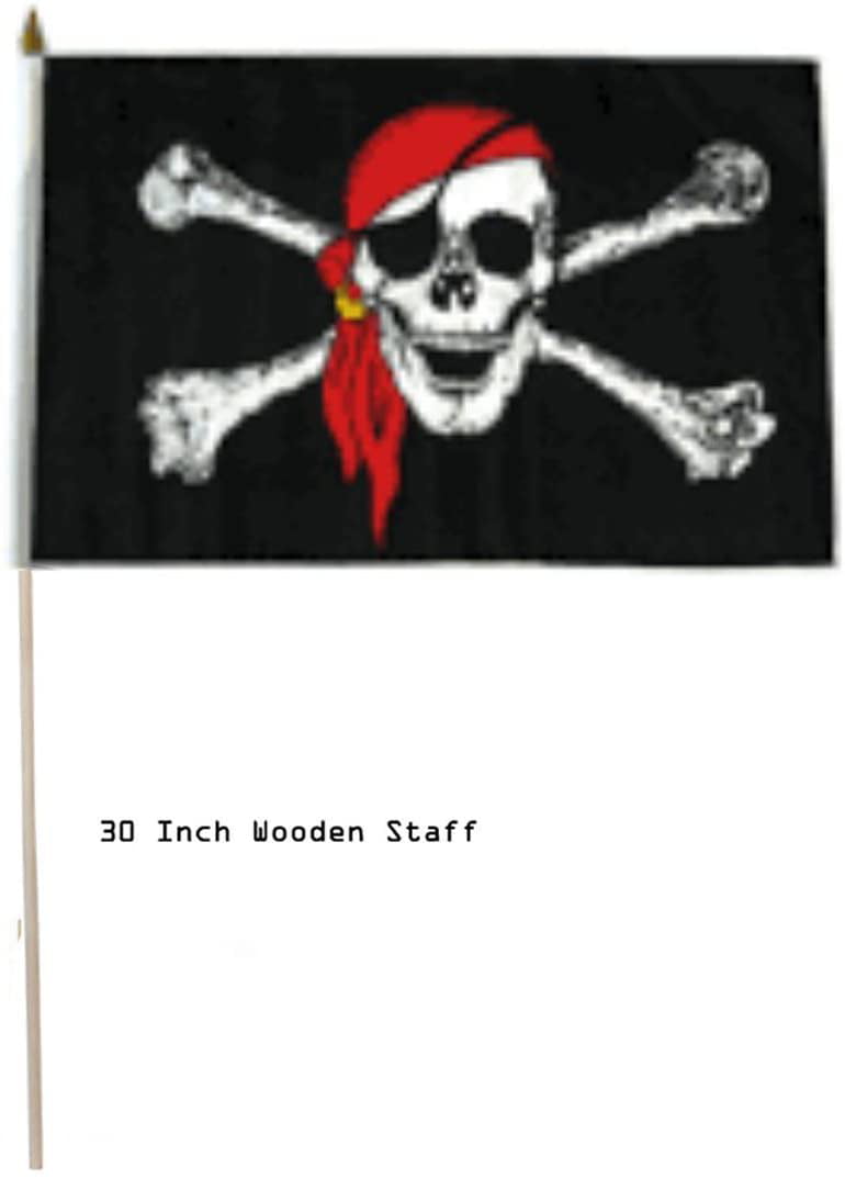 Details about   12x18 Jolly Roger Pirate Eye Patch Double Sided 12"x18" Flag Boat Motorcycle 