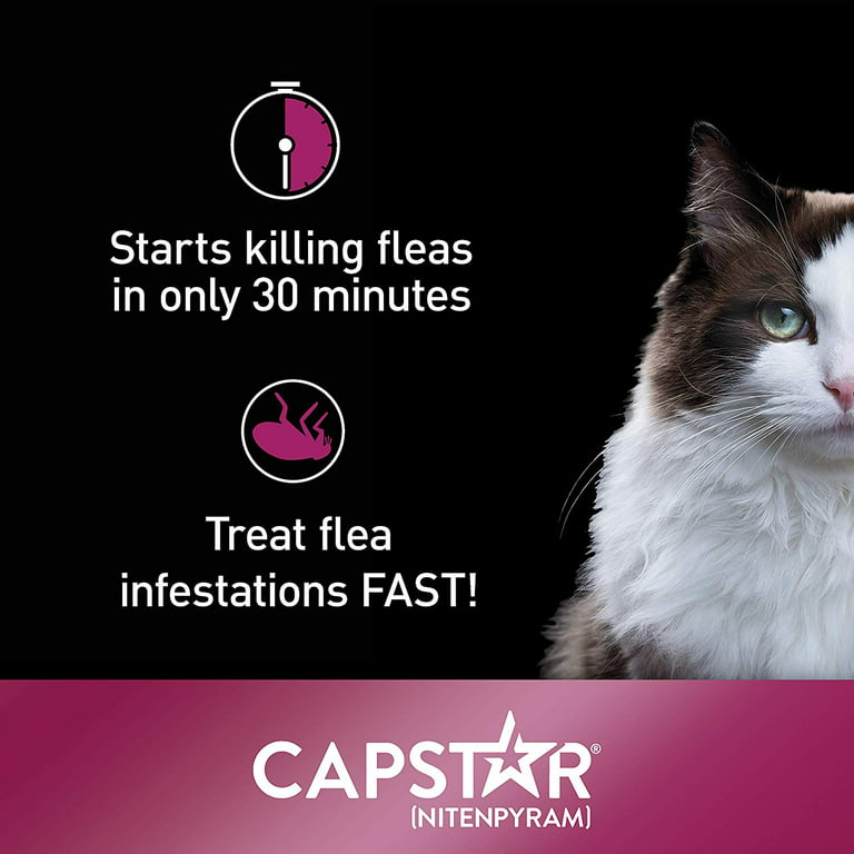 Image 3 of CAPSTAR (nitenpyram) Fast-Acting Oral Flea Treatment for Cats (2-25 lbs), 6 Tablets, 11.4 mg