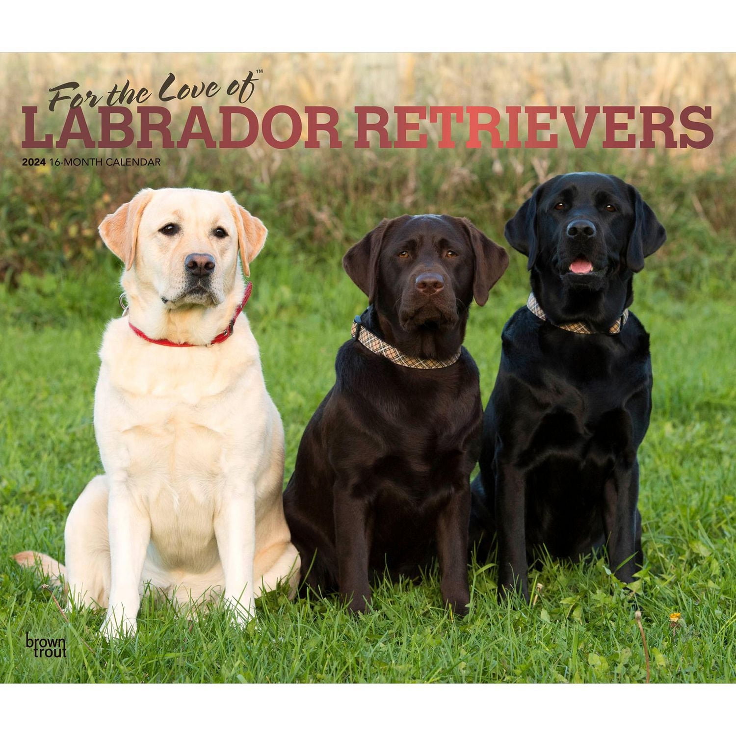 Labrador Retrievers, pour l'amour des 2024 35.56x60.96 CM Mur Deluxe Calendrier, 9781975468613