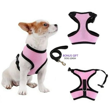Dog Training Leash Walmart Dog Training Leash Walmart