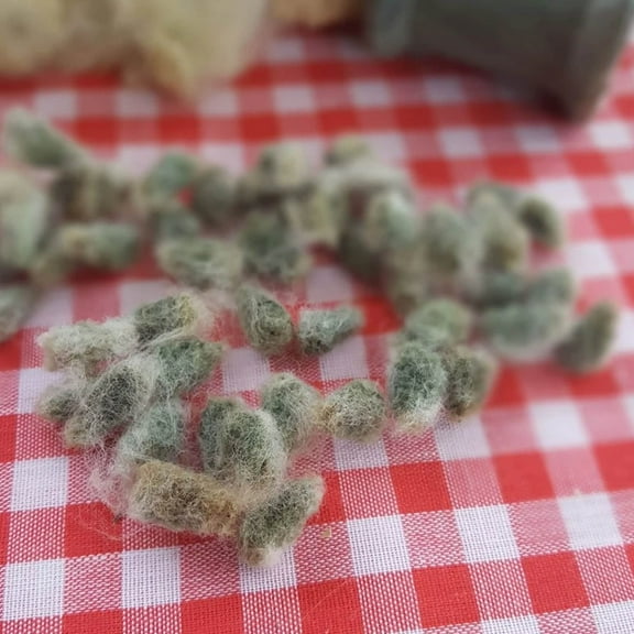 Erlene's Green Cotton - 1 Gram Packet ~10 Seeds - Heirloom, Open Pollinated, Non-GMO, Farm & Garden Seeds - Gossypium hirsutum