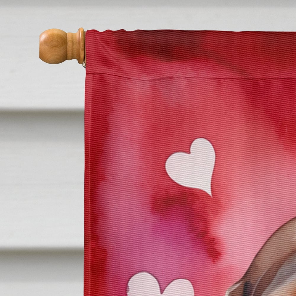American English Coonhound My Valentine House Flag 28 in x 40 in