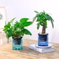 thumbnail image 3 of MesaSe Plant Container Long Lasting Smooth Surface Good Lazy Self-watering Plant Pot with Cotton Ropes, 3 of 4