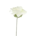 thumbnail image 2 of Pure Garden  50-piece Artificial Roses with Stems, Real Touch Fake Flowers (Ivory), 2 of 8