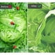 thumbnail image 4 of Red de jardín - 2,5 x 10 m Malla fina antiinsectos Plantas Frutas Flores Cultivos Plagas, 4 of 5