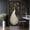 Color 3, variant on Door Stickers Peel and Stick Door Mural Peacock Modern Peacock Elaborate Plumage Archway Removable Wallpaper 30.3''x78.7'' Self-Adhesive Mural for Kitchen Living Room Bedroom Decor