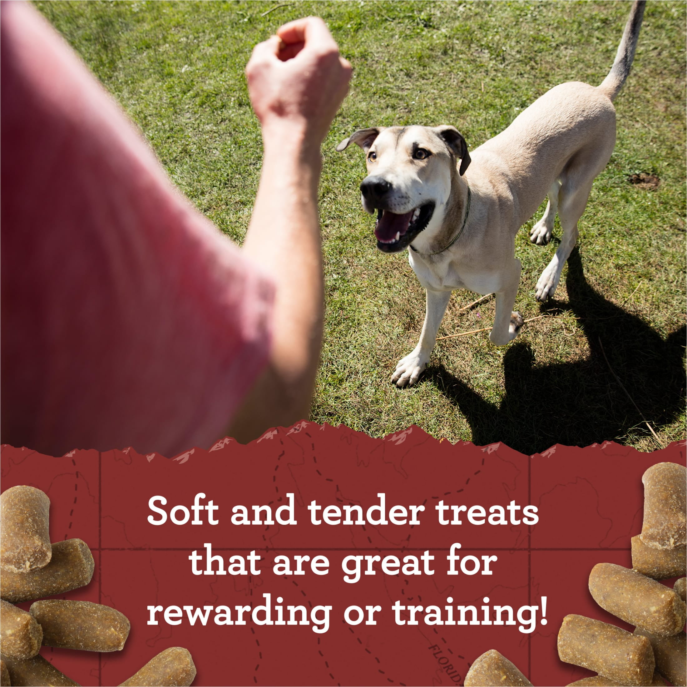 (2 pack) Zuke's Lil' Links Soft Dog Training Treats, Natural Chicken & Apple Recipe, Tender Chews, 6 oz Pouch
