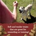 thumbnail image 5 of Zuke's Lil' Links Soft Dog Training Treats, Natural Chicken & Apple Recipe, Tender Chews, 6 oz Pouch, 5 of 10