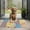 Pioneer Flower Floral-3, variant on Pioneer Flower Floral Print Pattern Door Rugs,Washable Non Slip Door Mats Indoor,Decorative Door Mats,Entry Mat Indoor for Entrance,Bedroom,Kitchen,Bathroom,17"x30"