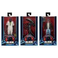 thumbnail image 2 of Alien 40th Anniversary - Alien, 2 of 2