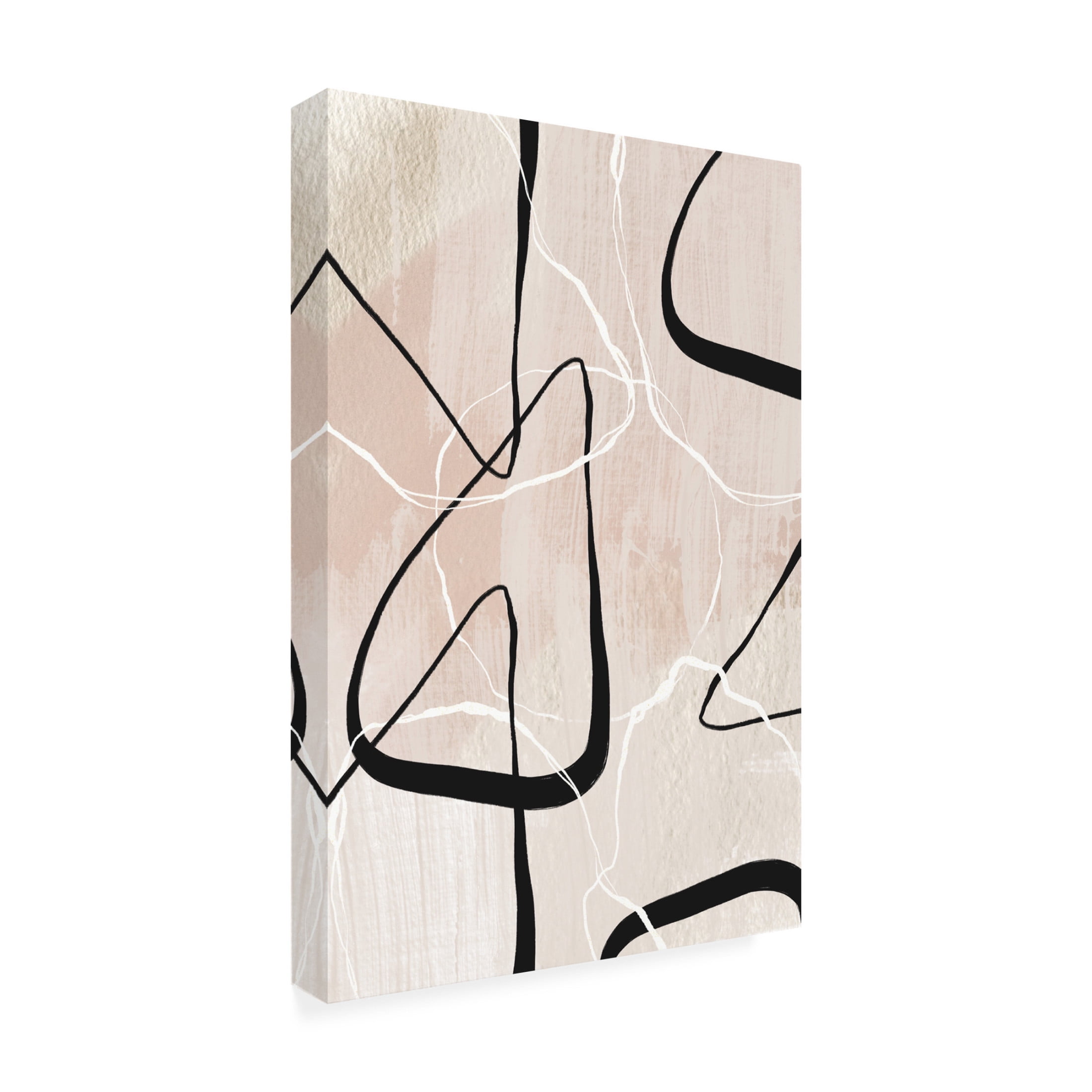 Trademark Fine Art Sally Ann Moss White Lines 1 Canvas Wall Art