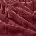 thumbnail image 3 of Coleman Reversible HeiQ Smart Temperature Down Alternative Blanket, 3 of 3