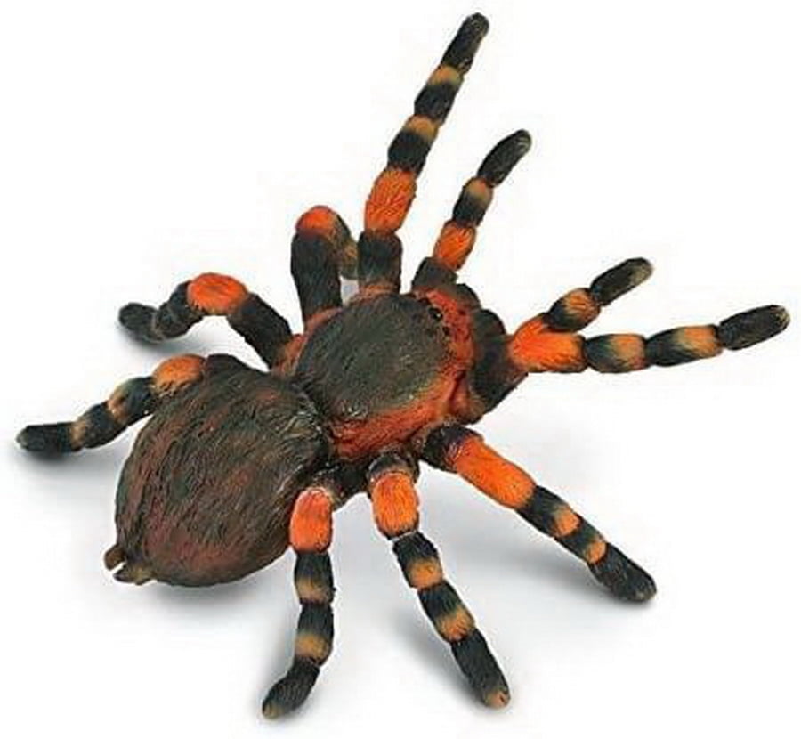 tarantula figure