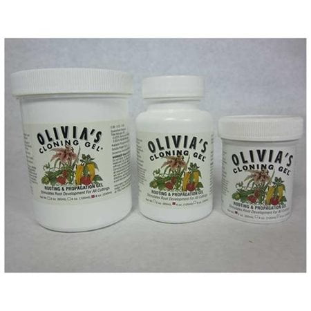 - Olivia's Solution OCG4 4-Ounce Olivia's Cloning Gel for Plants