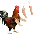 thumbnail image 1 of Juguetes de brazos de pollo musculosos para que los pollos usen, disfraz divertido, juguete de brazos de lucha con puños para fiesta temática de broma de mascotas, 1 of 6