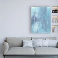 thumbnail image 3 of Trademark Fine Art 'Arctic Brilliancy II' Canvas Art by Regina Moore, 3 of 3