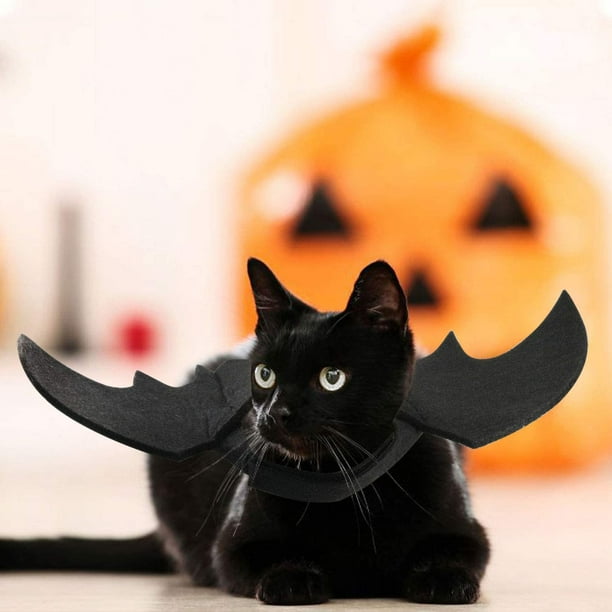 Dog bat halloween costumes 2025