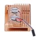 thumbnail image 4 of Gold Color Protective Case Good Heat Dissipation Aluminum Alloy Anti-Corrosion Shell for Raspberry Pi 4, 4 of 5