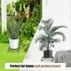 thumbnail image 4 of Plant Stands, [3 Pcs] 9 Inch Modern Heart Shaped Plant Pot Holder, Durable Rustproof Potted Plant Stand, Indoor & Outdoor Garden Stand - Black, 4 of 5