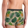 thumbnail image 5 of Haiem Pineapples Palm Leaves Men's Boxer Briefs, Every Day Comfort Stretch Cotton Moisture-Wicking Underwear-Medium, 5 of 9