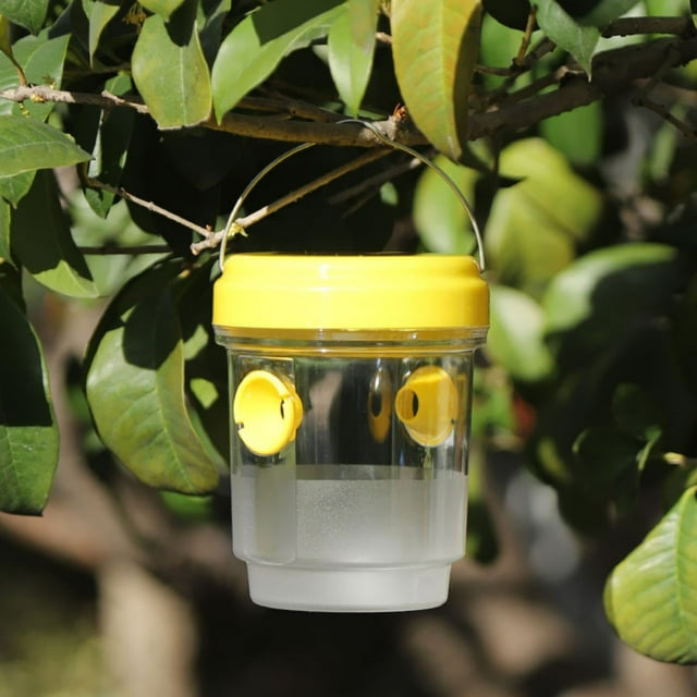 Attrapeur Extérieur pour Jardin Cour Verger Réutilisable