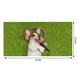 thumbnail image 3 of Toallas de playa con forma de pelota, regalo, toalla con temática de perro, toallas de baño grandes de 76 x 152 cm, absorbentes y de secado rápido, toallas de playa plegables y portátiles,, 3 of 9