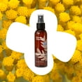 thumbnail image 3 of Plant Therapy Essential Oils Helichrysum Organic Hydrosol 4 oz, 3 of 8