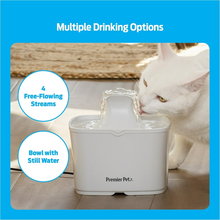Cat drinking fountain walmart cheap