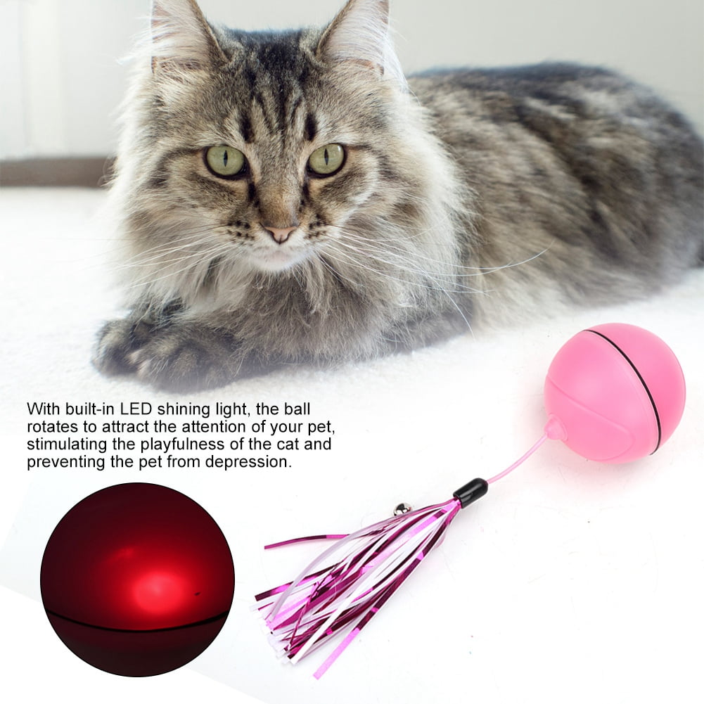 smart cat ball