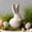 White, variant on Easter Bunny Ceramic Ornament Q Version Cute Rabbit Figurine Spring Home Desktop Decoration Holiday Tabletop Decor Pink White Long Ear Bunny Statue for Window Shelf Fireplace Gift