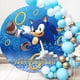 thumbnail image 2 of Personalizar el nombre del bebé y los años de Sonic the Hedgehog Telón de fondo Decoración para fiesta de cumpleaños Estudio fotográfico de Sonic Suministros para fiesta de baby shower, 2 of 5