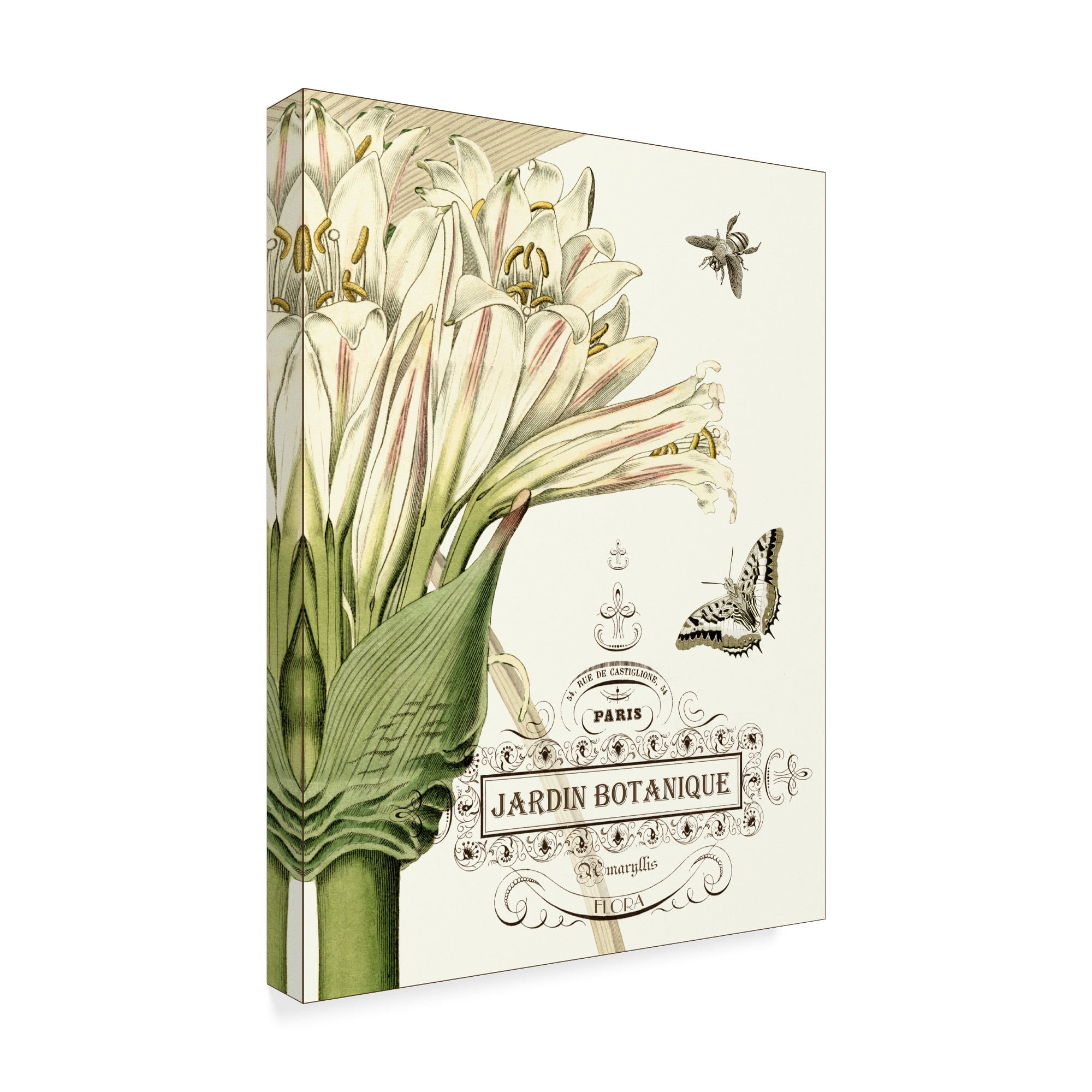 Trademark Fine Art 'Jardin Botanique II' Canvas Art by Vision Studio