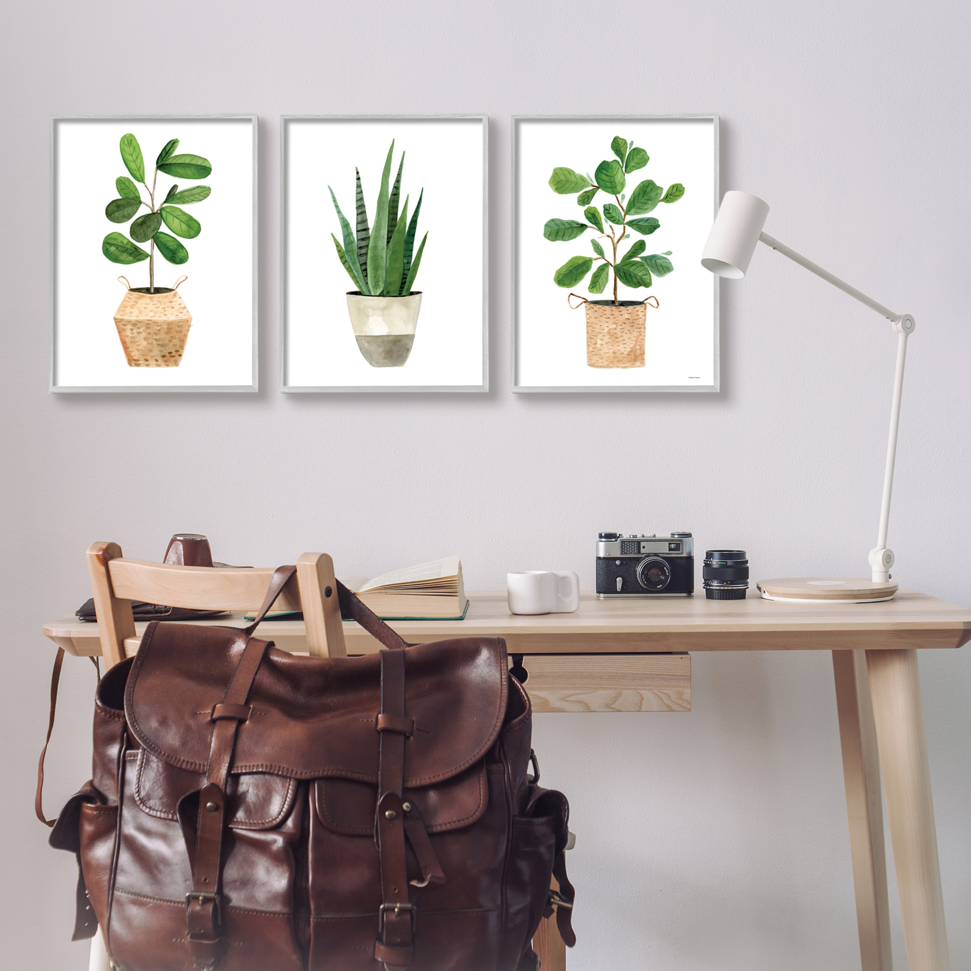 Stupell Minimal Potted Plants Botanicals Botanical & Floral Painting Gray Framed Art Print Wall Art, Set of 3