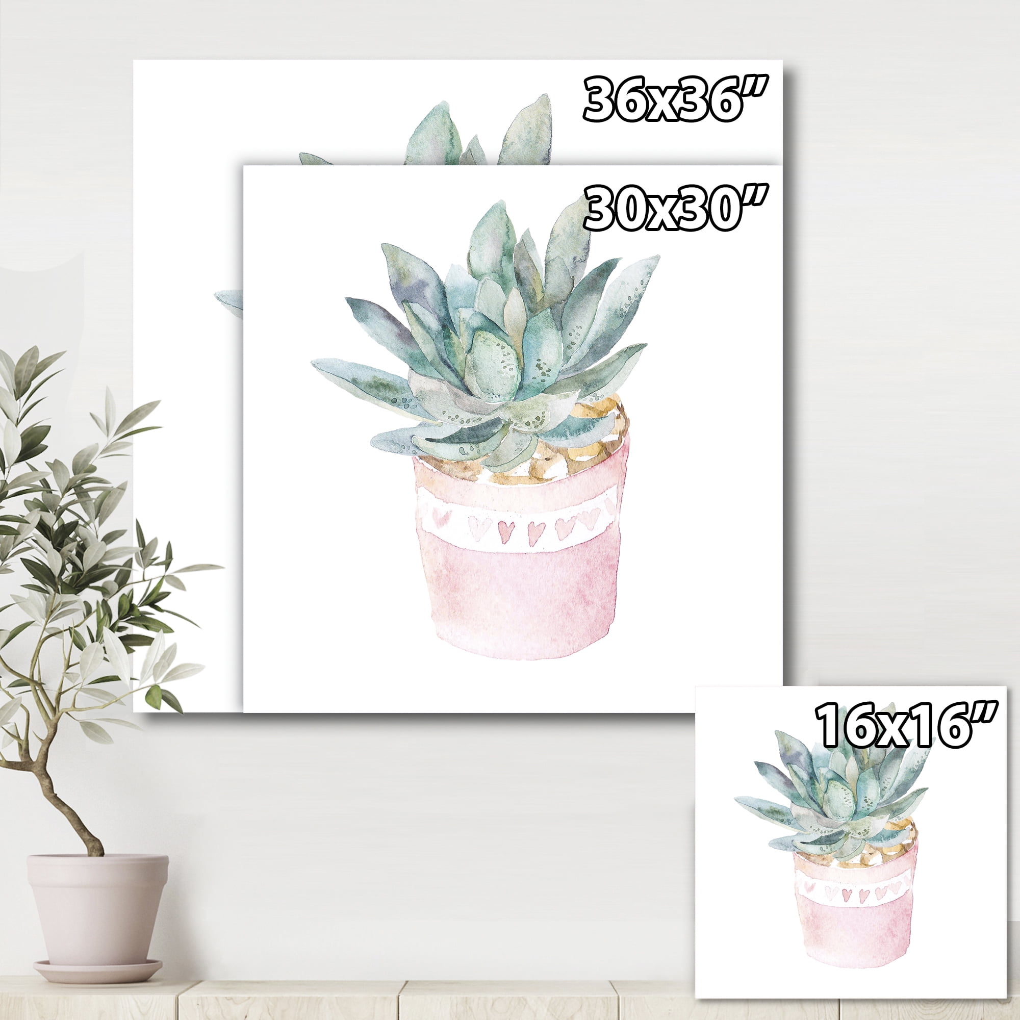 Designart ' Succulent and Cactus House Plants II ' Farmhouse Canvas Wall Art Print