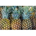 thumbnail image 2 of Engelbrecht, Jim 32x23 Black Ornate Wood Framed with Double Matting Museum Art Print Titled - Sugarloaf pineapple, 2 of 4