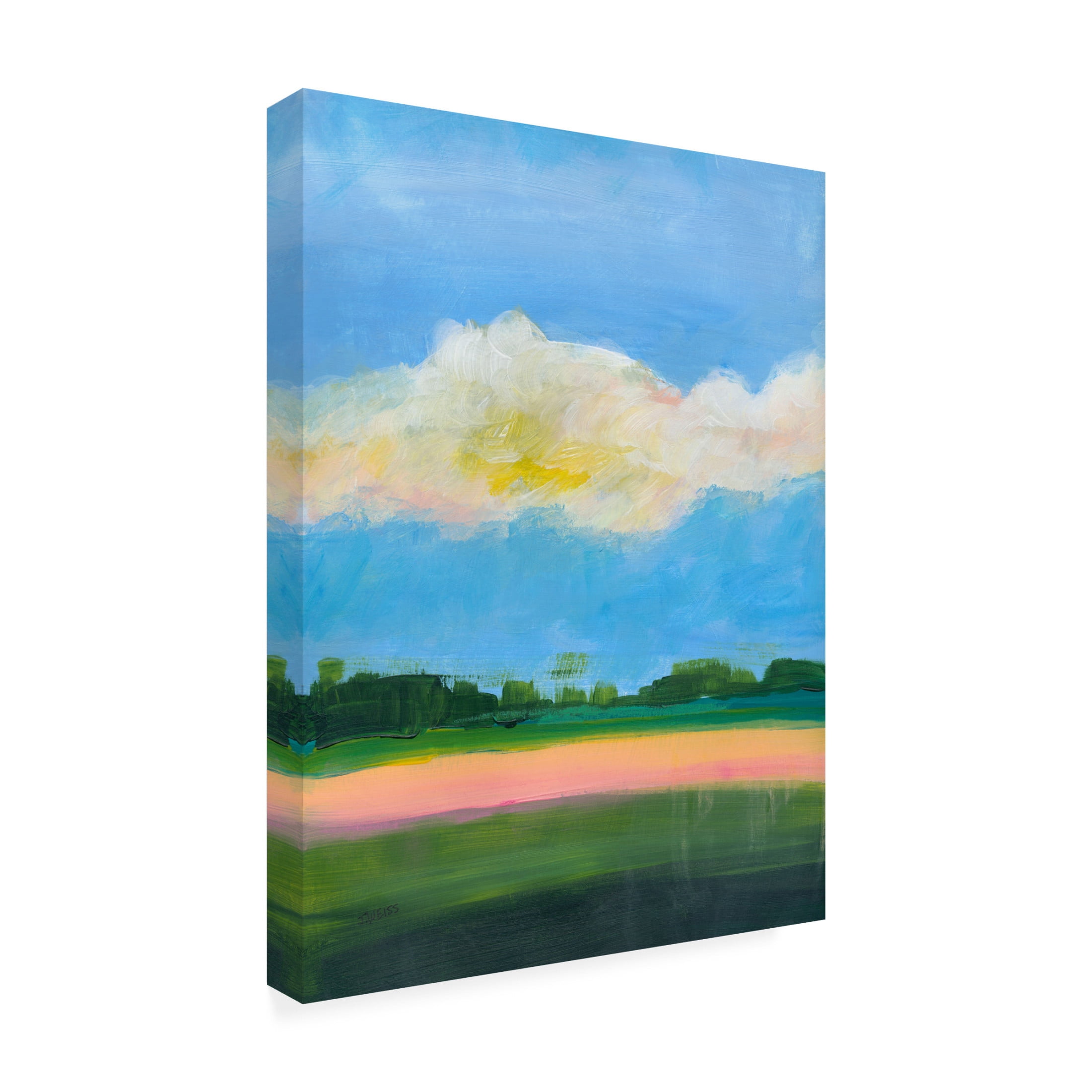 Canvas Wall Art - Jan Weiss 'Beneath a Cloudy Sky 2' Wall Art for Living Room, Bedroom, or Office Décor by Trademark Fine Art - 18 x 24 Inches