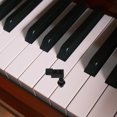 thumbnail image 1 of OHOIOLLA 2Ud Clip Reparador Para Puerta De Piano Color Negro Ideal Para Estudios Y Con Uso, 1 of 8