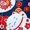 Waterproof Blue, variant on Cat litter box door curtain suitable for Petkit MAX