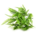 thumbnail image 2 of Cheers US Artificial Fern Plants Bushes Artificial Shrubs Greenery for House Plastic Outdoor UV Garden Resistant Office Garden Indoor Decor, 2 of 9