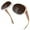 Champagne Frame|Brown Lens, variant on Oversized Polarized Sunglasses for Women Trendy Butterfly Shades UV Protection-2 Pack