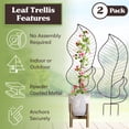 thumbnail image 2 of Pure Garden 44” Metal Trellis 2-Pack – Indoor/Outdoor Plant Support for Vines, Flowers & Climbing, Black, 2 of 12
