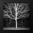 thumbnail image 2 of Urban Epiphany 15x15 Black Modern Framed Museum Art Print Titled - Winter Tree Square, 2 of 5
