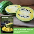thumbnail image 5 of 2 Packs Yellow Petite Watermelon Seeds - Non-GMO Heirloom Full Sun Annual Vegetable, 5 of 8