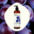 thumbnail image 3 of Plant Therapy Grapeseed Carrier Oil 16 oz Base Oil for Aromatherapy, Essential Oil or Massage use, 3 of 9