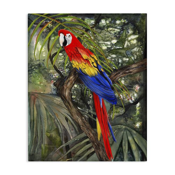 Stupell Industries Coastal Parrot Among Branches Canvas Art, 16 x 20, by Christine Reichow