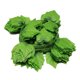 thumbnail image 4 of unbranded 10Ud Artificial Para De Pared Con Follaje Verde Y Fácil Limpieza, 4 of 8