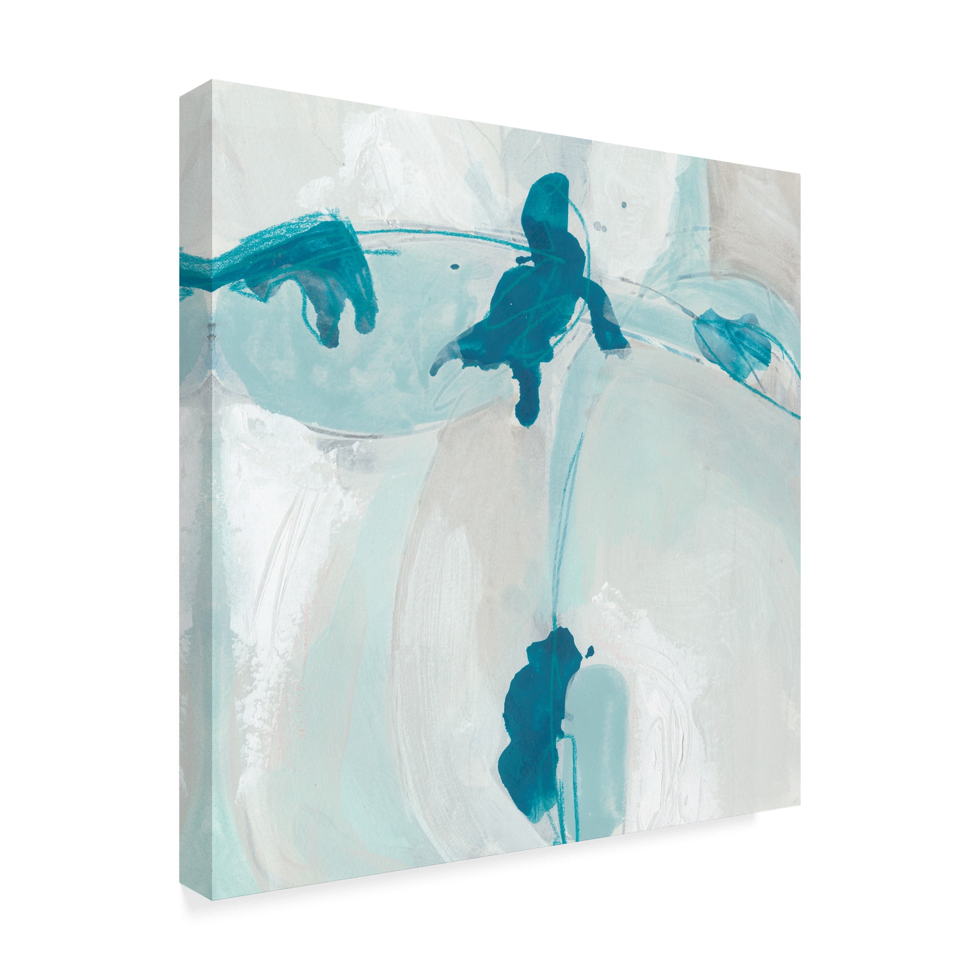Trademark Fine Art 'Trace Echo I' Canvas Art by June Erica Vess