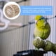 thumbnail image 5 of Juguete de nido de pájaro de plástico para cría de canarios, nidos para jaulas, mezcla para palomar, jaula de pájaros de seda, 5 of 6