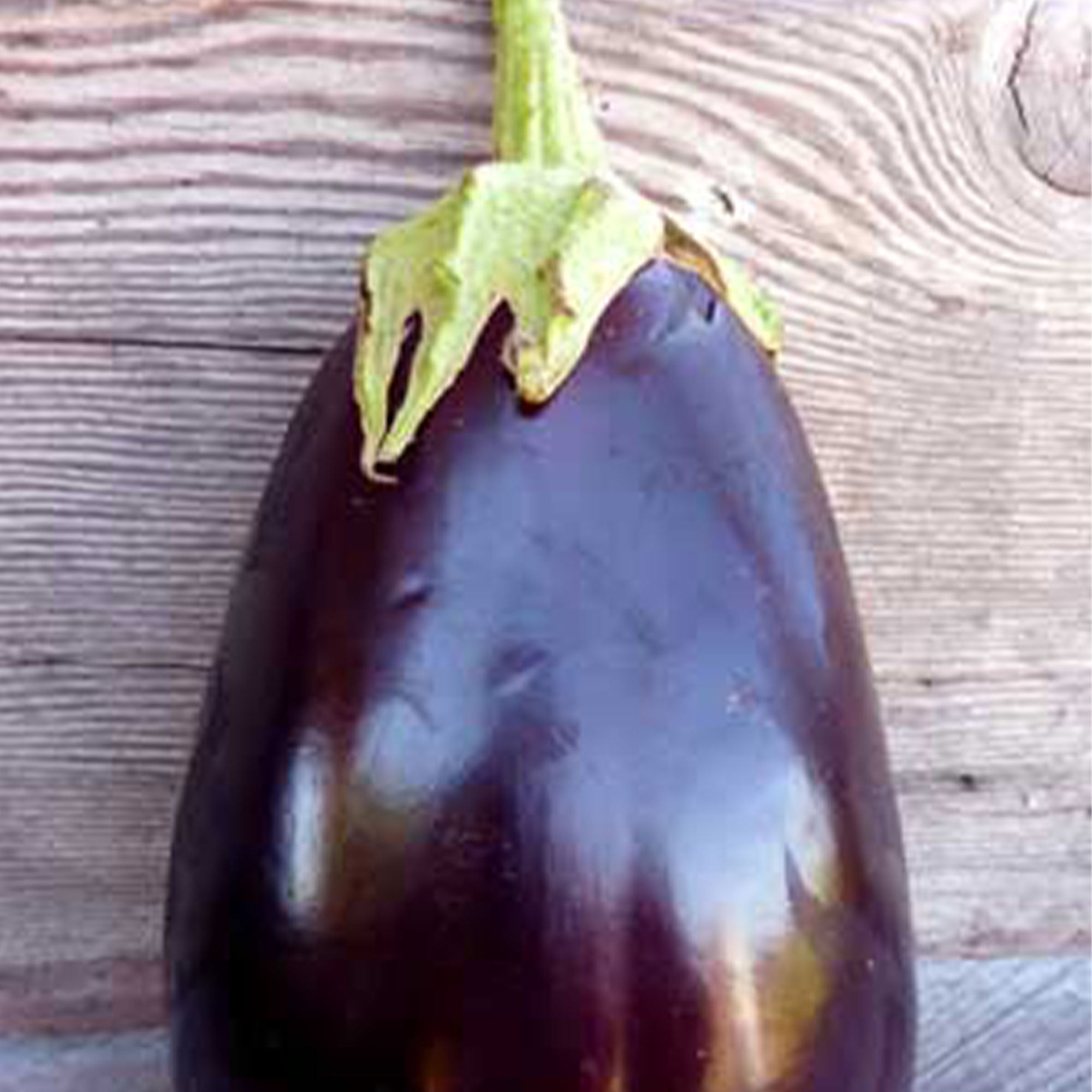 Black Beauty Eggplant 250 mg 55 Seeds Heirloom, NonGMO, Open